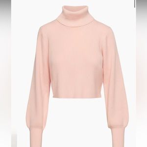 Aritzia–Wilfred–Rebecca Turtle Neck